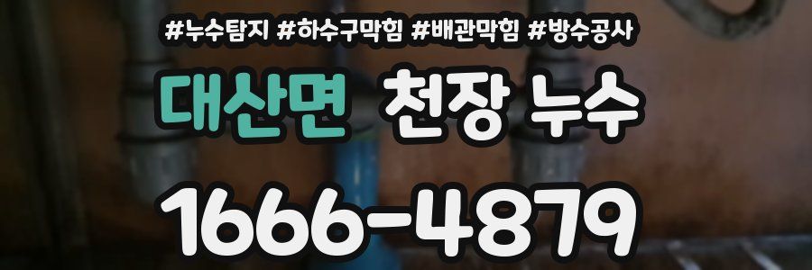 대산면 천장 누수