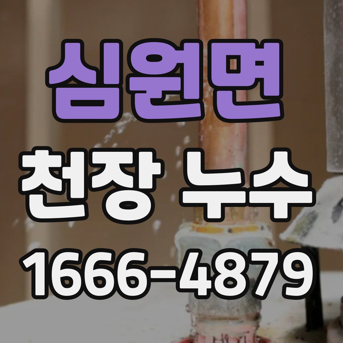 심원면 천장 누수