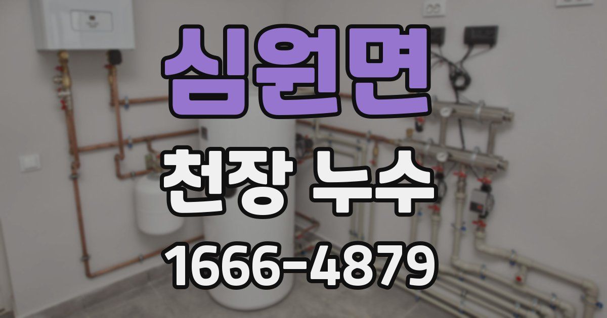 심원면 천장 누수