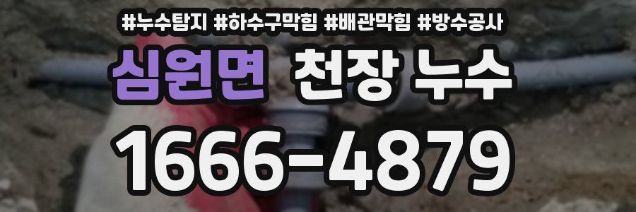 심원면 천장 누수