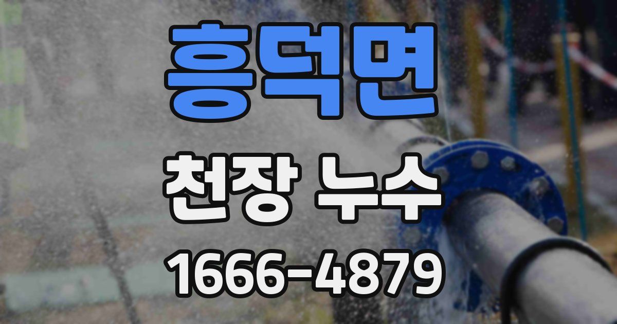 흥덕면 천장 누수