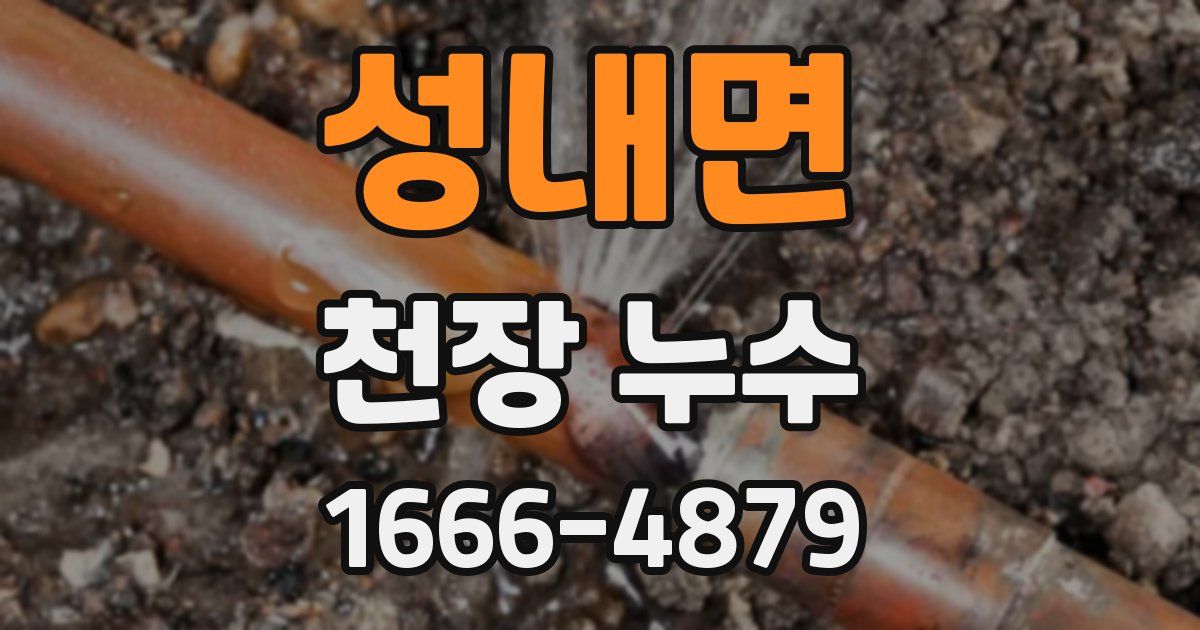 성내면 천장 누수