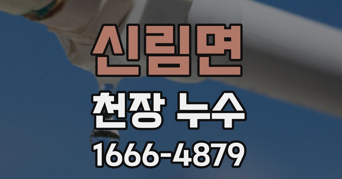 신림면 천장 누수