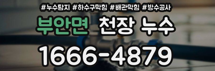 부안면 천장 누수