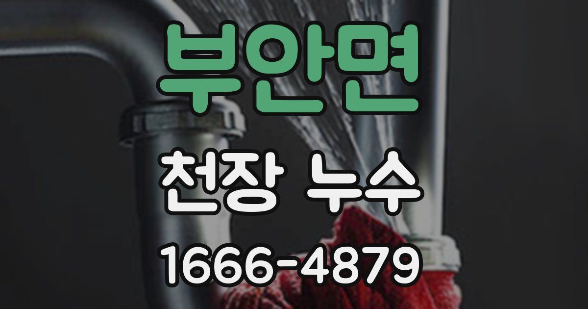 부안면 천장 누수