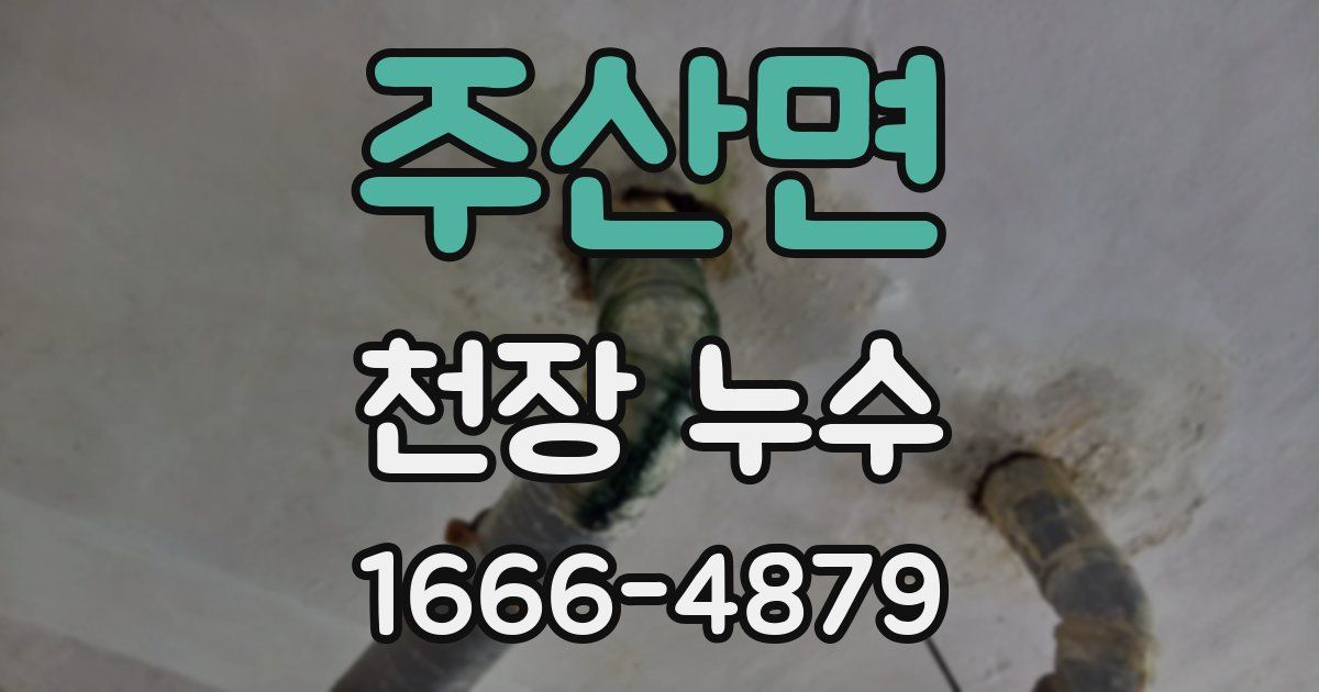 주산면 천장 누수