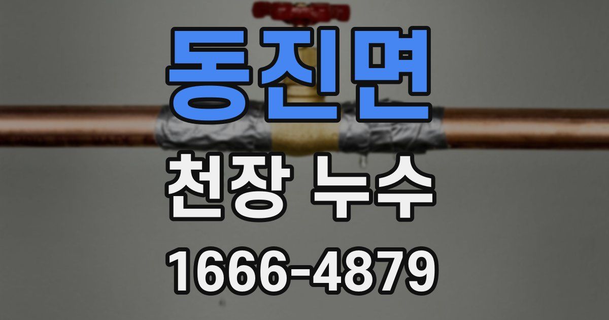 동진면 천장 누수