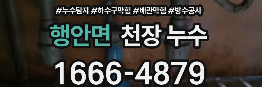 행안면 천장 누수