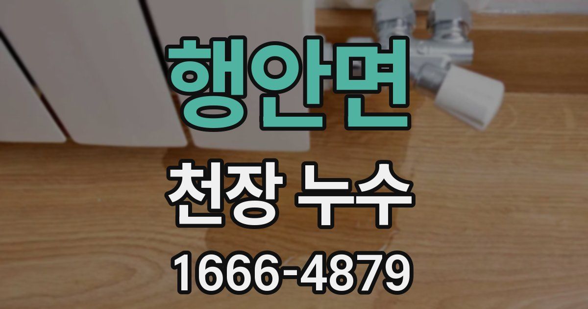 행안면 천장 누수