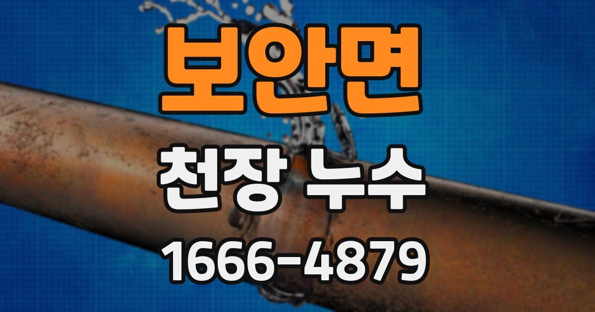 보안면 천장 누수
