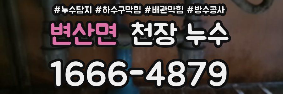 변산면 천장 누수