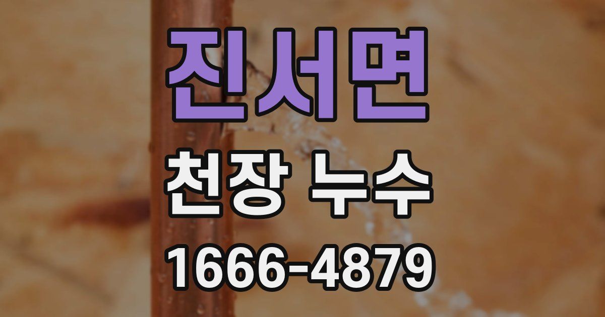 진서면 천장 누수