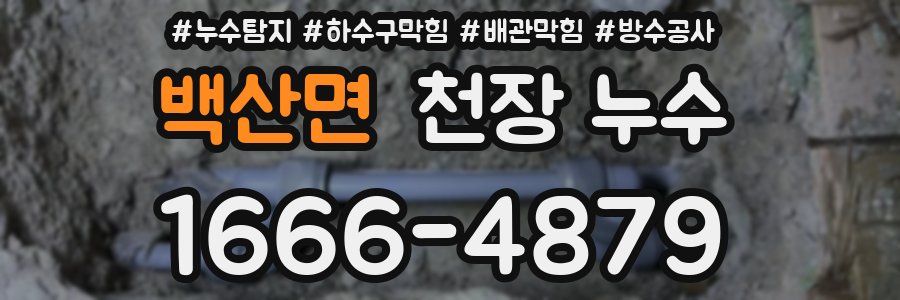 백산면 천장 누수