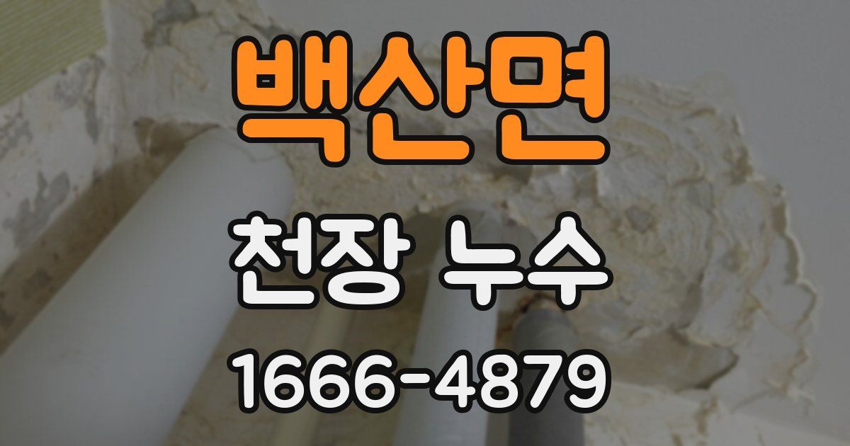백산면 천장 누수