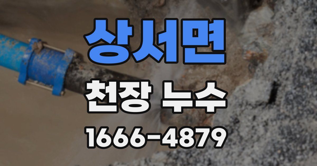 상서면 천장 누수