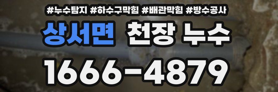 상서면 천장 누수