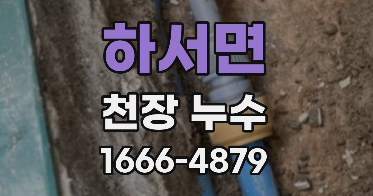 하서면 천장 누수