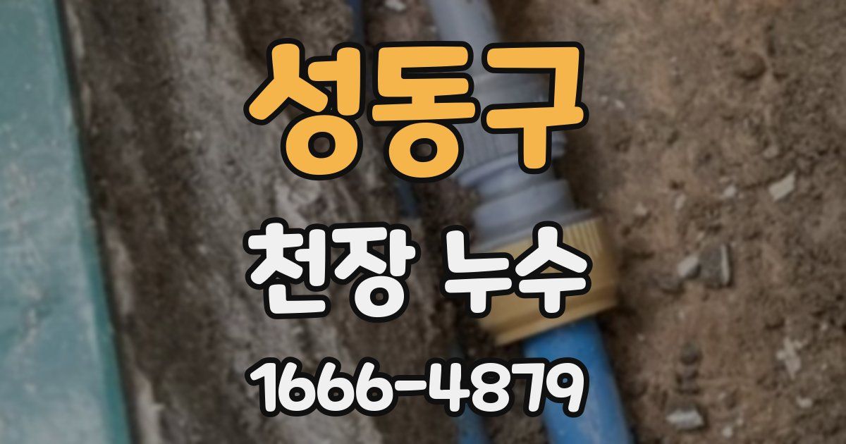 성동구 천장 누수