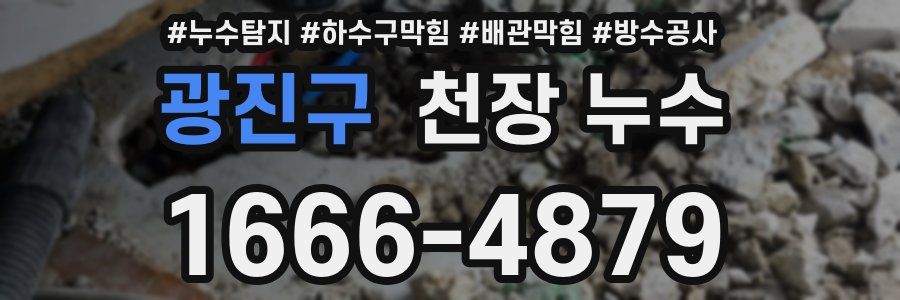 광진구 천장 누수