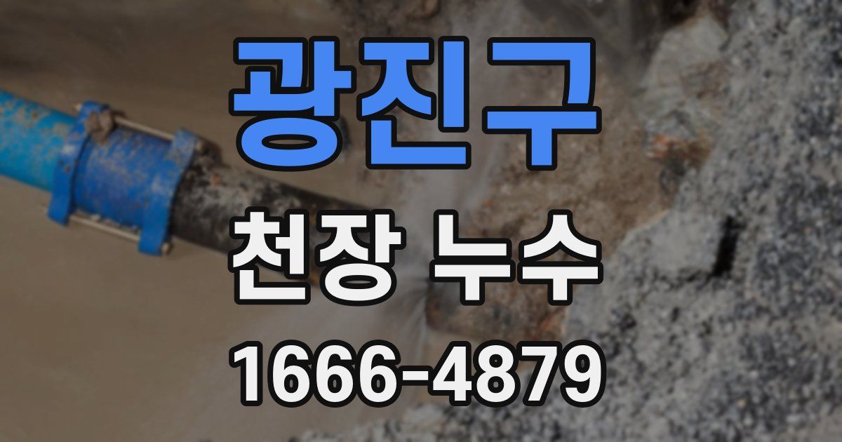 광진구 천장 누수
