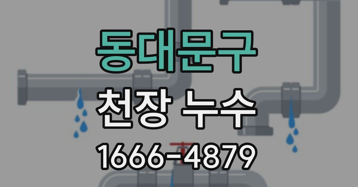 동대문구 천장 누수