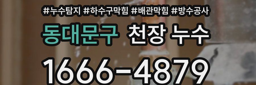 동대문구 천장 누수