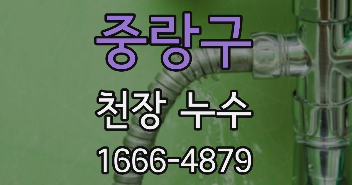 중랑구 천장 누수