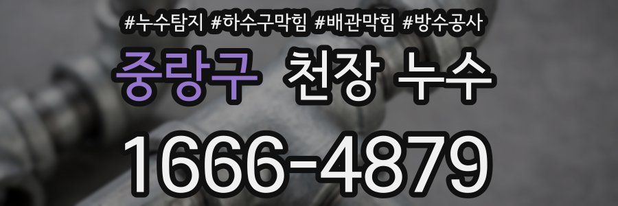 중랑구 천장 누수