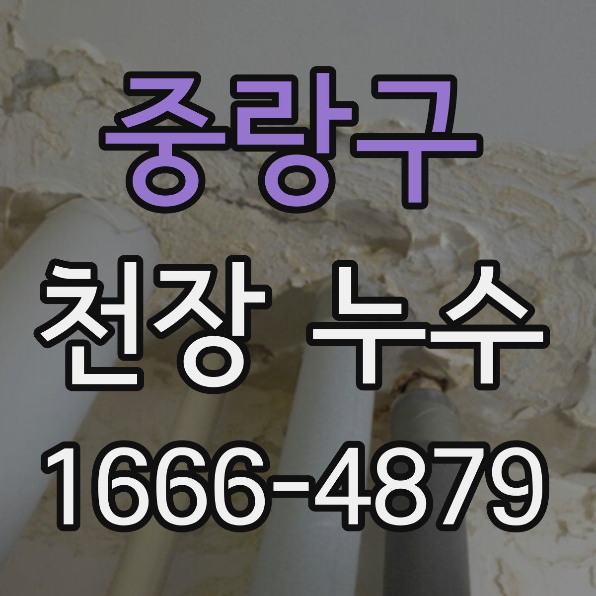 중랑구 천장 누수