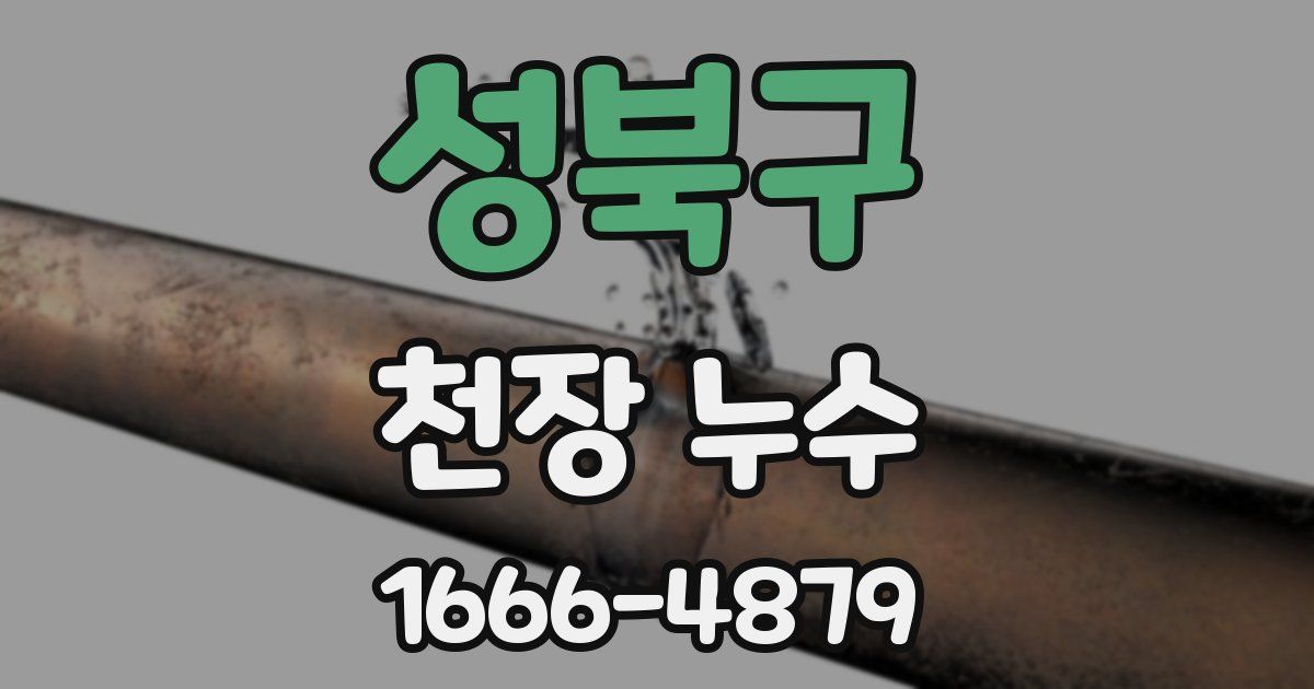 성북구 천장 누수