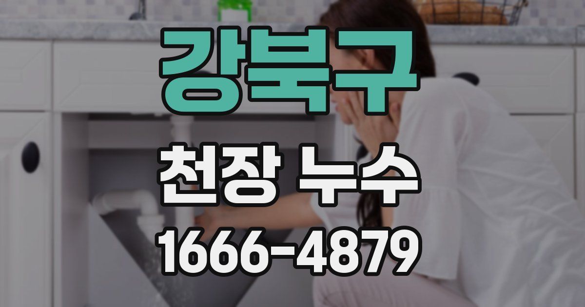 강북구 천장 누수