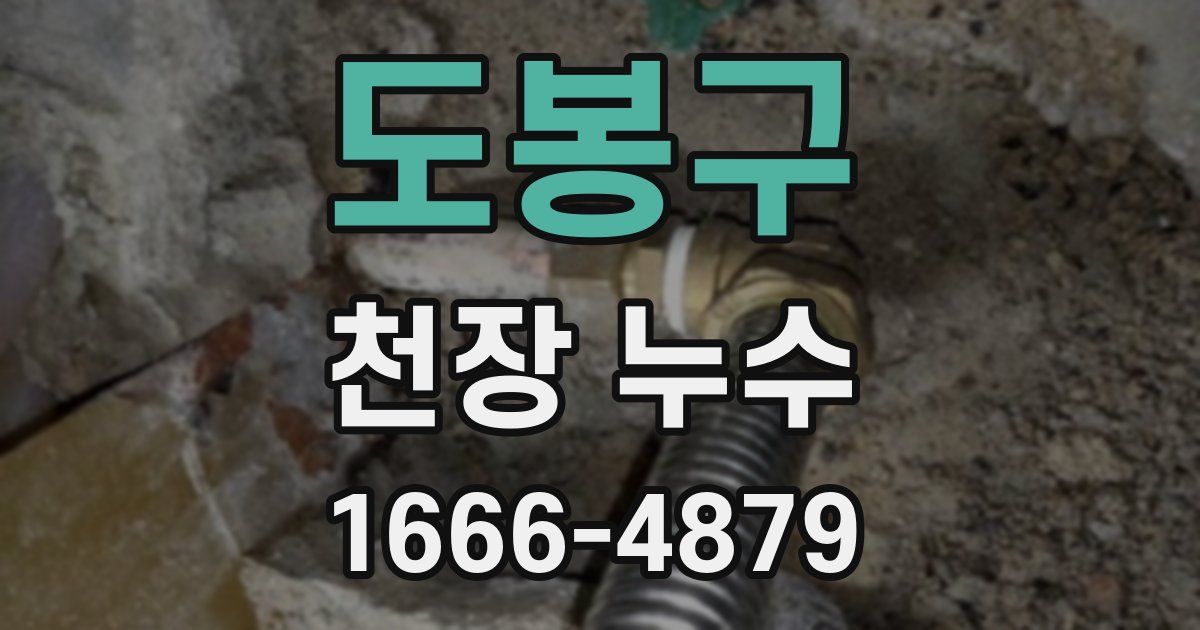 도봉구 천장 누수