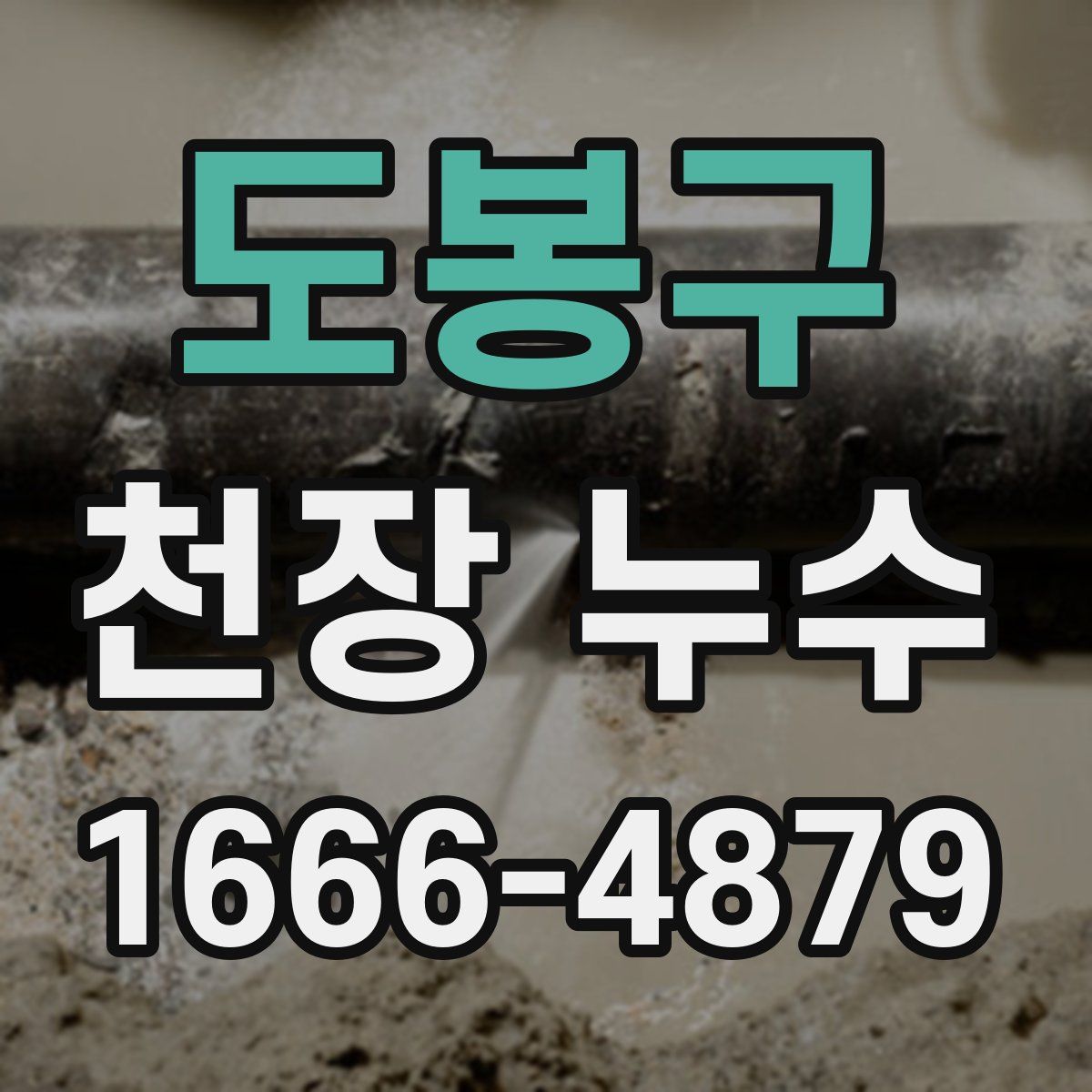 도봉구 천장 누수