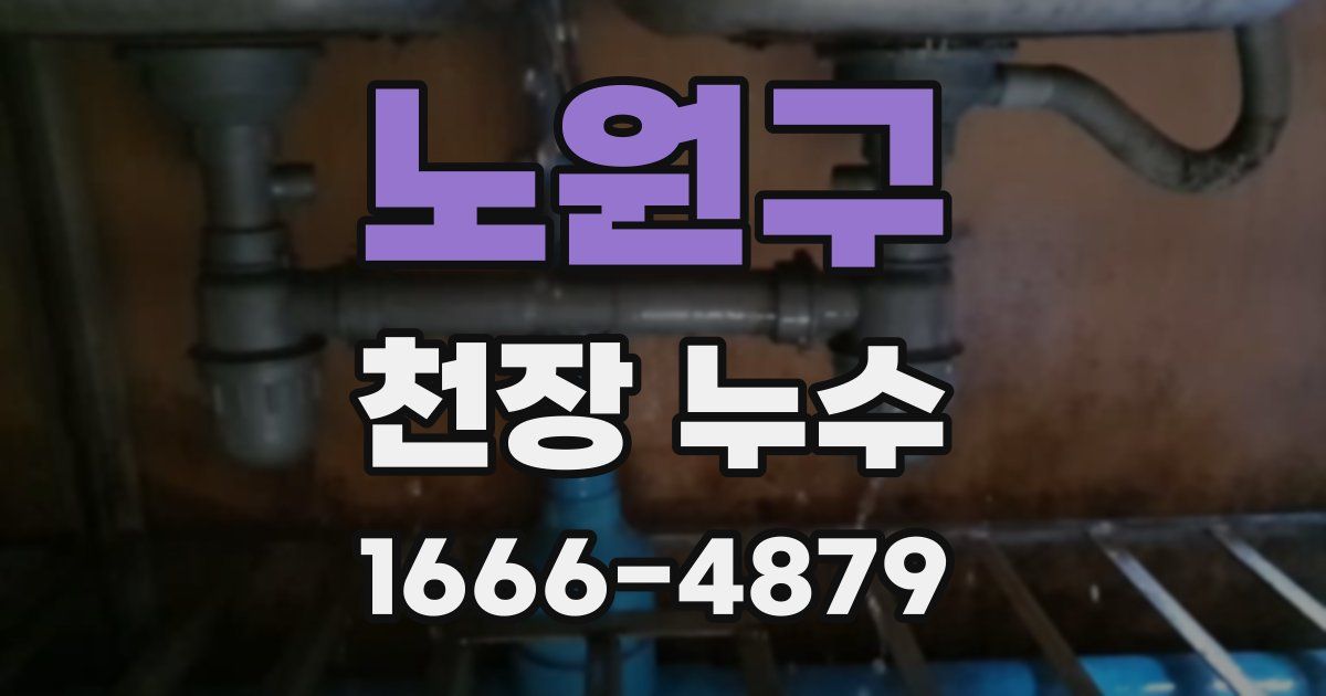 노원구 천장 누수