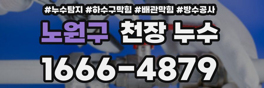 노원구 천장 누수