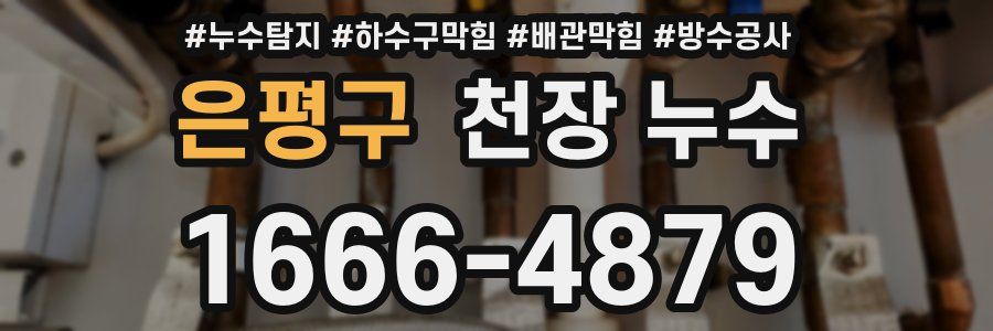 은평구 천장 누수
