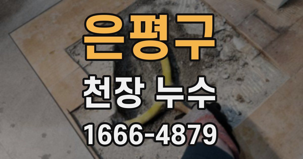 은평구 천장 누수