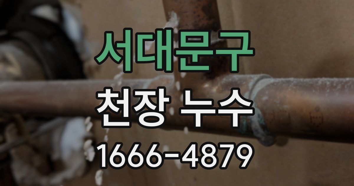 서대문구 천장 누수