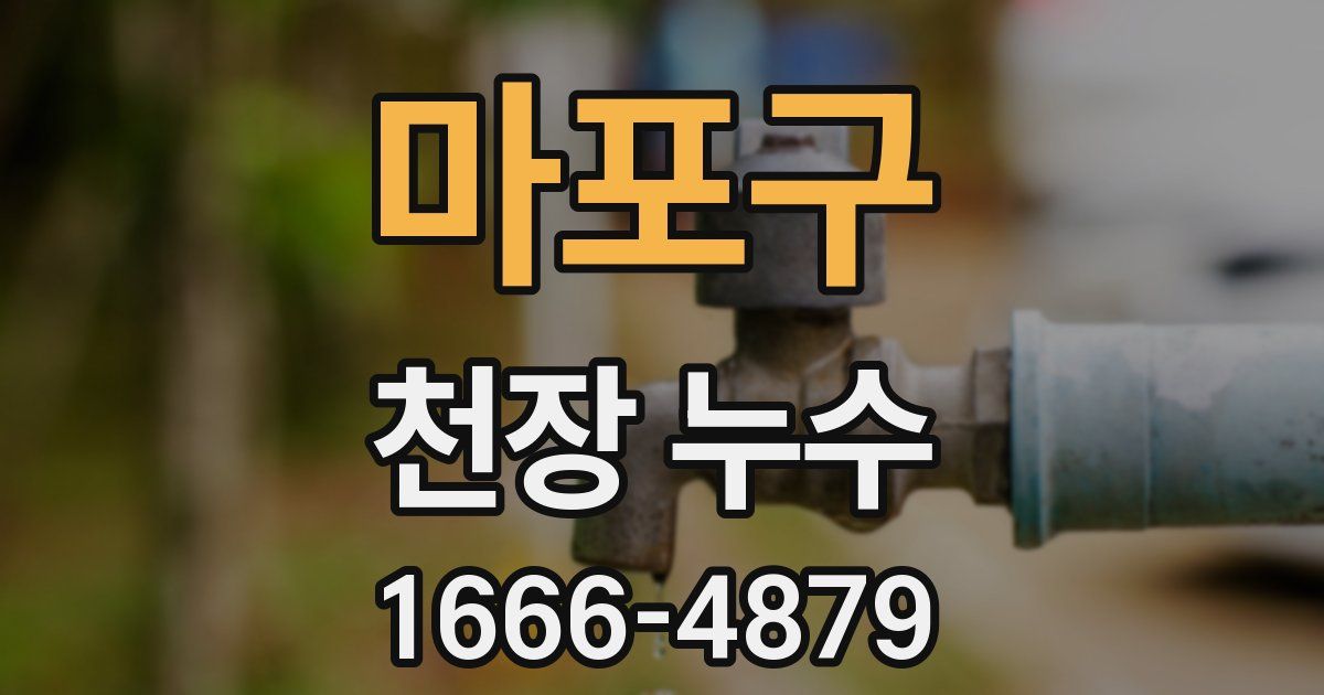마포구 천장 누수