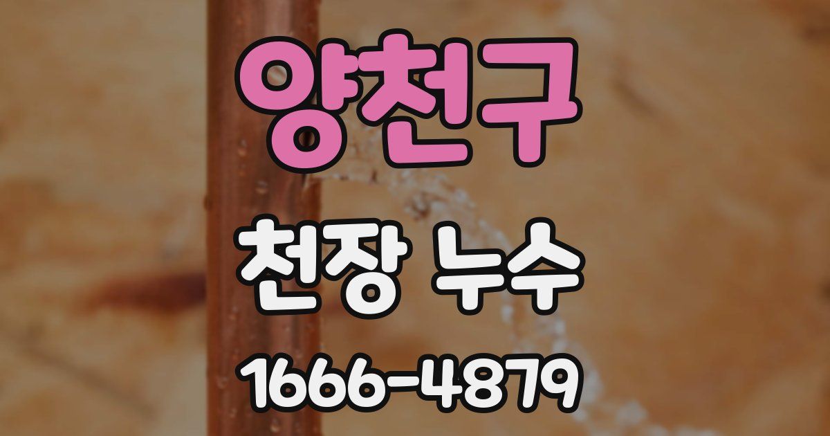 양천구 천장 누수