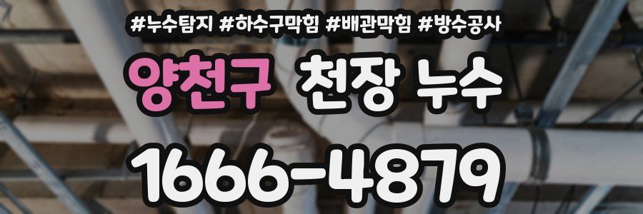 양천구 천장 누수