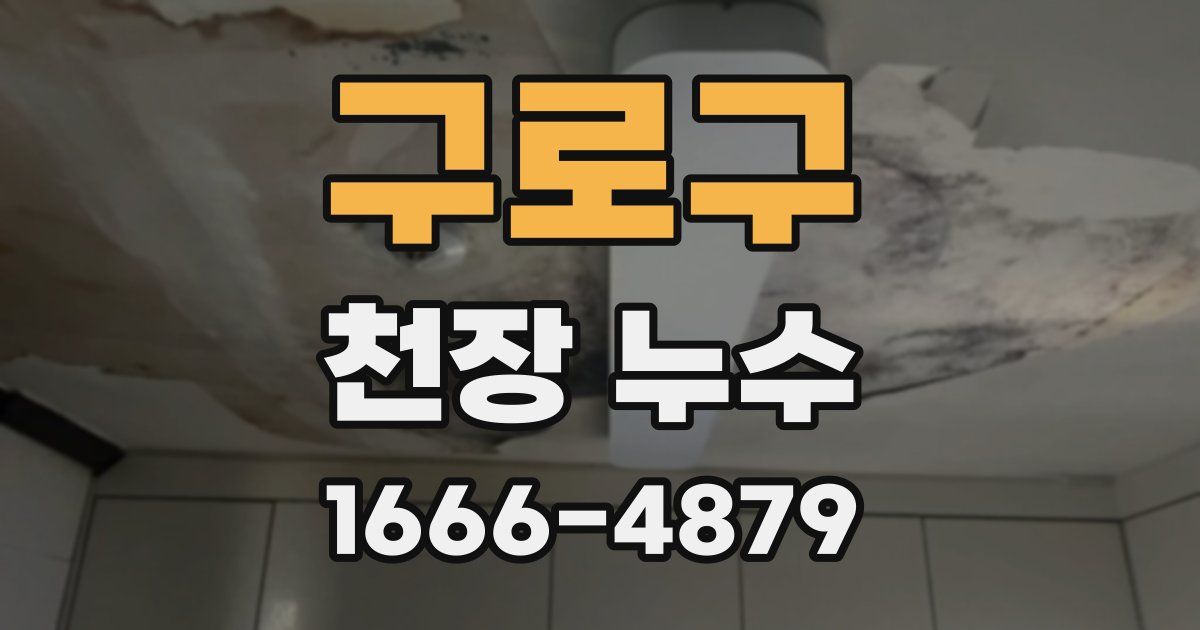 구로구 천장 누수