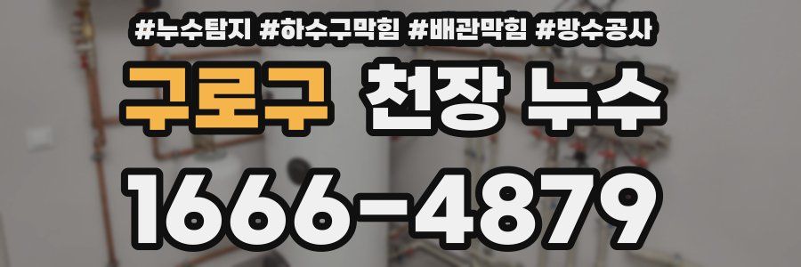 구로구 천장 누수