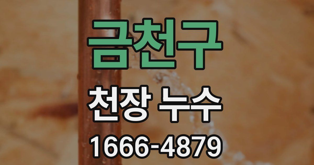 금천구 천장 누수