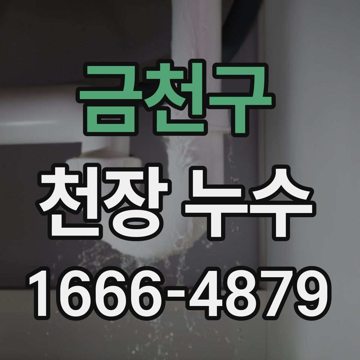금천구 천장 누수