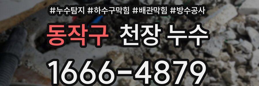 동작구 천장 누수