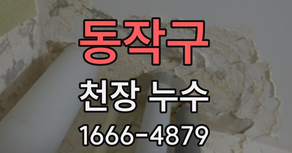 동작구 천장 누수