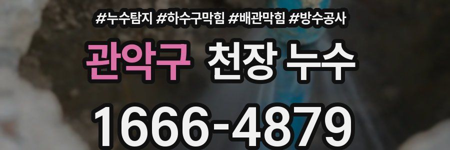 관악구 천장 누수