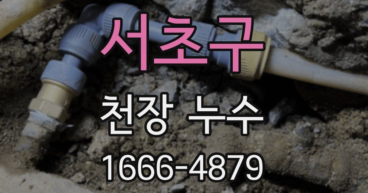 서초구 천장 누수