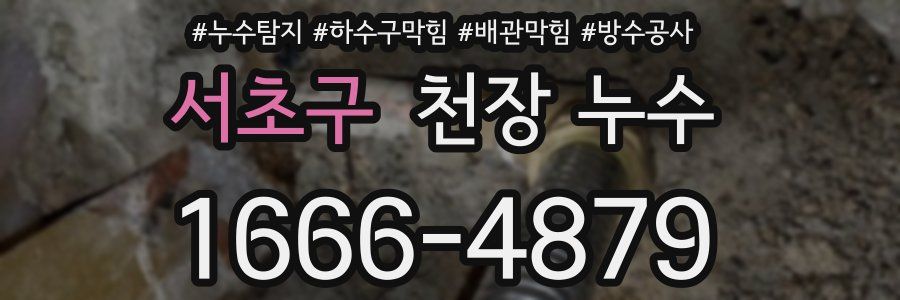 서초구 천장 누수